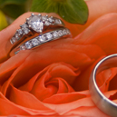 Travel, wedding and bridal portrait photography portfolio gallery South Carolina, North Carolina and Georgia