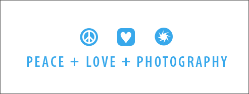 Copyright/Legal: 901 Photography - Portrait, Bridal, Wedding Photography, Columbia, South Carolina
